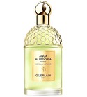 parfém Aqua Allegoria Forte Nerolia Vetiver
