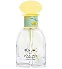 Herbae Spartium L'Occitane en Provence