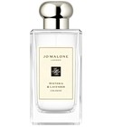 Wisteria & Lavender Jo Malone London