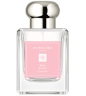 Rose Blush Cologne (2023) Jo Malone London