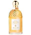Mandarine Basilic Harvest Guerlain