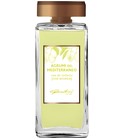 Agrumi del Mediterraneo Gandini 1896