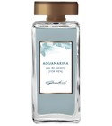 Aquamarina Gandini 1896