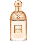 parfém Aqua Allegoria Flora Nymphea