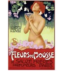Fleurs de Mousse Sauzé