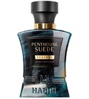 Penthouse Suede Habibi NY
