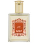 Ylang D'Or Il Profvmo