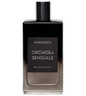 Orchidea Sensuale Marcoccia