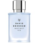 parfém Instinct Ice