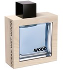 He Wood Ocean Wet Wood DSQUARED²