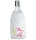 parfém Edições Perfumadas Cachoeira Furta-Cor