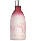 parfém Edições Perfumadas Flores Envolventes