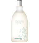 parfém Gotas Aromáticas Ervas