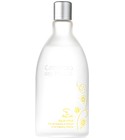 parfém Água Citrus Chá de Hibisco e Laranja