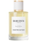 Chanvre Sauvage Balma Venitia