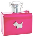 Terrier Pink Ferrioni