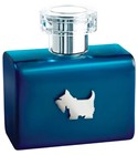 Terrier Blue Ferrioni