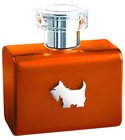 parfém Terrier Orange