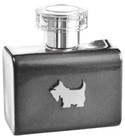 parfém Terrier Grey