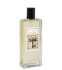 parfém Patchouli