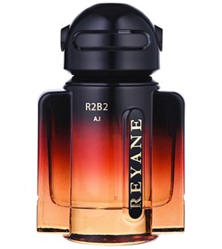 Insurrection II Wild Reyane Tradition cologne - a fragrance for men