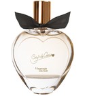 Harmonie du Soir Coup de Coeur