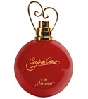 Un Amour Coup de Coeur