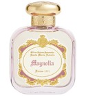 Magnolia (2023) Santa Maria Novella