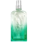 parfém Verveine Fleur de Carotte
