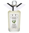 Gardenia Penhaligon's