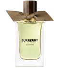 parfém Oud Storm