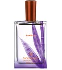 Bambou Molinard