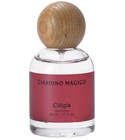 Cilligia Giardino Magico