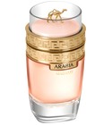 parfém Arabia Madame