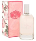 parfém Rosa