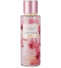 Velvet Petals Cashmere Victoria's Secret