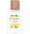 parfém Oriental Ylang Ylang & Amyris