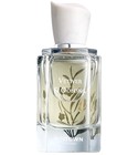 Vetiver & Oolong 岩兰乌龙 Boitown 冰希黎