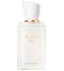 Magnolia Tree	一树玉兰 Boitown 冰希黎