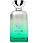 Hidden Shores Agarthi