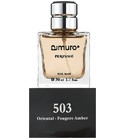 Amuro 503 Dzintars