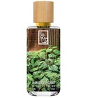 24 Shades of Patchouli The Dua Brand