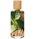 Essence of Patchouli The Dua Brand