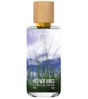 Vetiver Vibes The Dua Brand