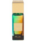 Mango Aoud Gritti