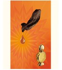 parfém Shatha Al Oudh