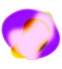 Bloom Rush Algorithmic Perfumery