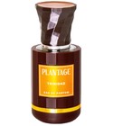 Trinidad Plantage