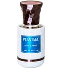 Oud Maroc Plantage