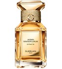 Vanille Planifolia Extrait 21 Guerlain perfume - a new